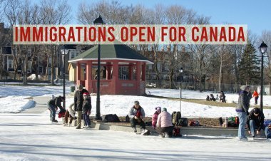 Canada Immigration PNP Priority Skills Stream for Newfoundland