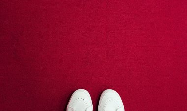Carpets Cleaning Tips - Keep Your Carpets Neat & Clean