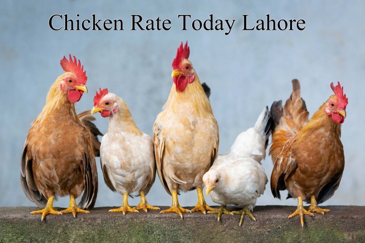 1 KG Chicken Rate Today in Lahore April 2024