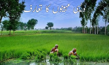 دیسی مہینوں کا تعارف اور وجہ تسمیہ