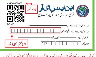 Ehsaas Program 8171 Check Online 2022-2023