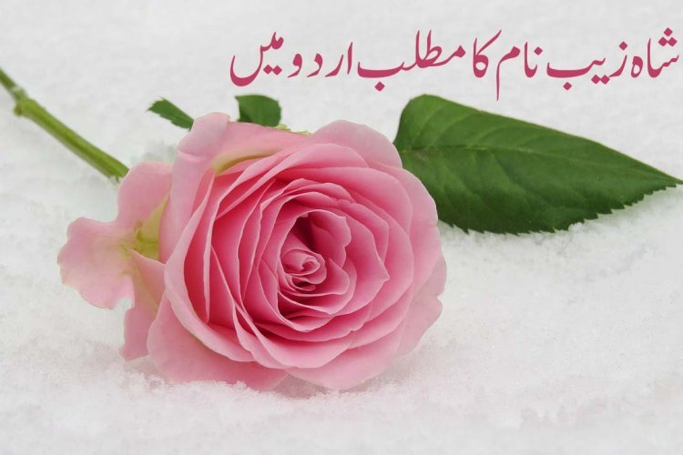 shahzaib-name-meaning-in-urdu-and-english-dareecha