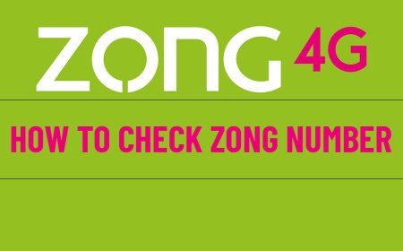 How to Check Zong Number - Simple Steps to Find Your Zong Number