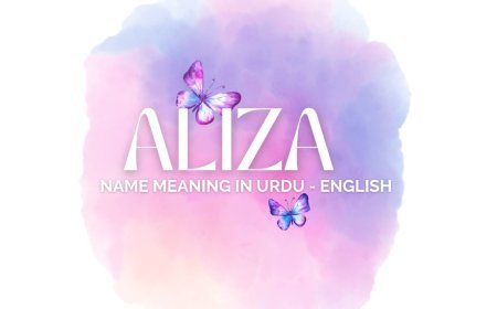 Aliza Name Meaning in Urdu and English - Origin, Lucky Number, and History