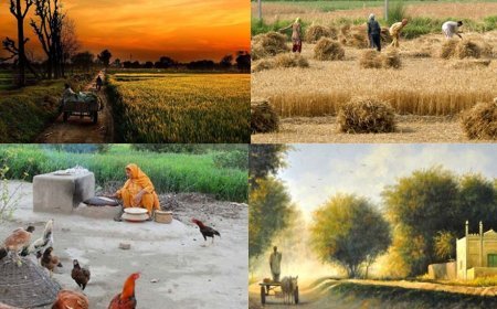 Explore the Beauty and Diversity of Village Life in Pakistan
