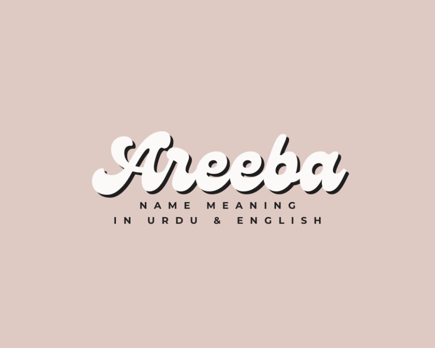 Areeba Name Meaning in Urdu & English - Origin, Popularity, and More