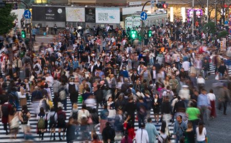 Navigating the Hustle Exploring Tokyo's Shibuya Crossing, the World's Busiest Pedestrian Intersection