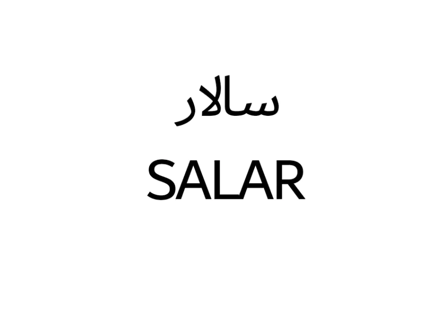 Salar Name Meaning: General or Commander of an Army