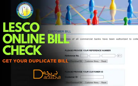 LESCO Online Bill Check 2024: Easy Guide & Tips | Check Now