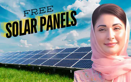 CM Punjab Free Solar Panel Scheme 2024